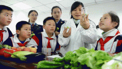 不管纯真依托完全节制食物平安风险有何等不现