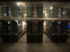 成功壮边村集体的经济实力